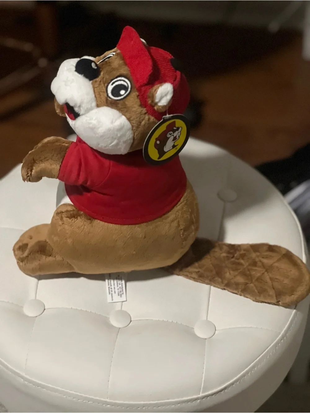 Famous Buc-ee’s Plush Dog Toy in Brown and Red - Branded Tee & Hat